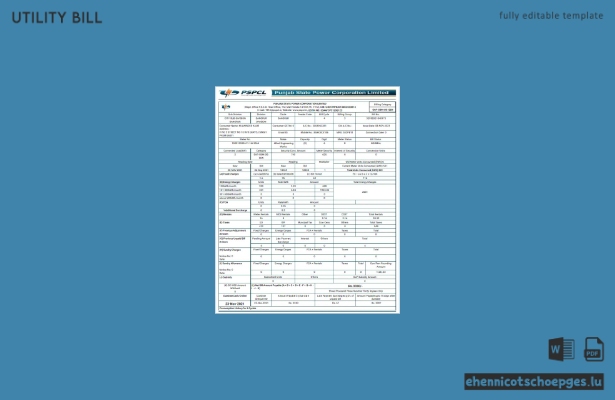 Beispielrechnung der indischen PSPCL (Public Service Power Corporation Limited)